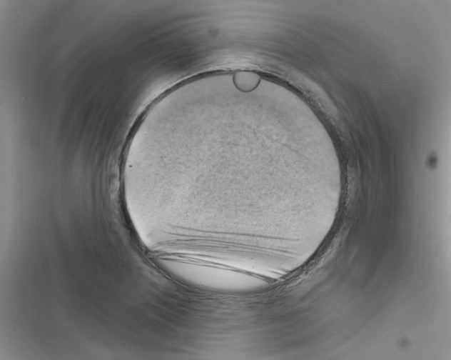 X0000116631226201001221354