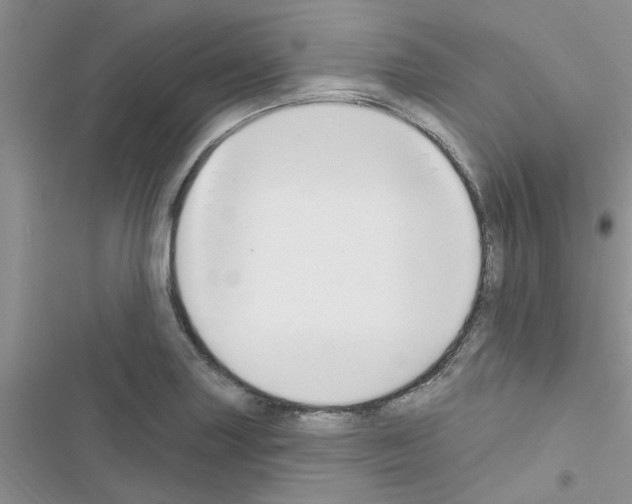 X0000116631227201001221354