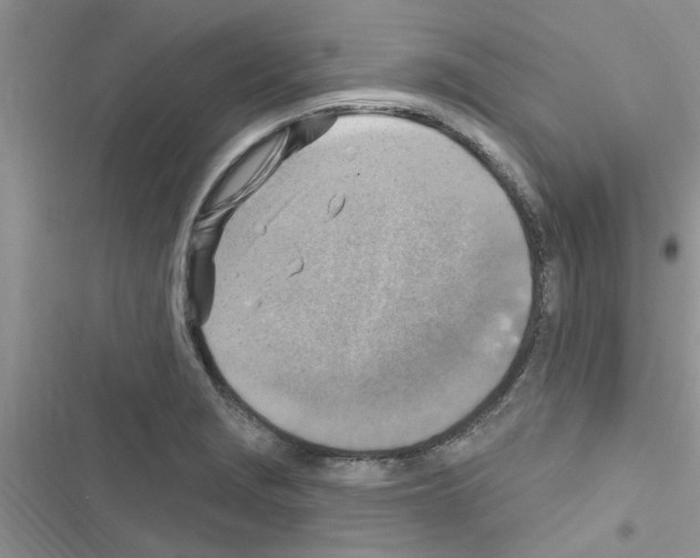 X0000116631229201001221354