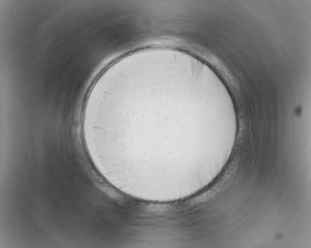 X0000116631232201001221354