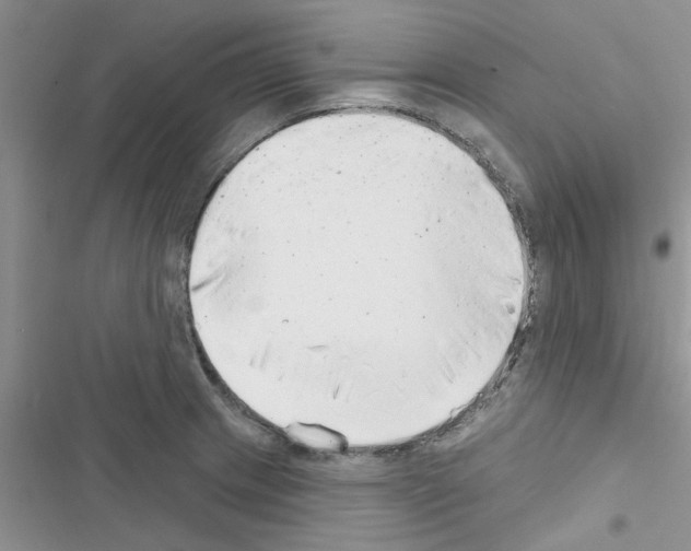 X0000116631233201001221354