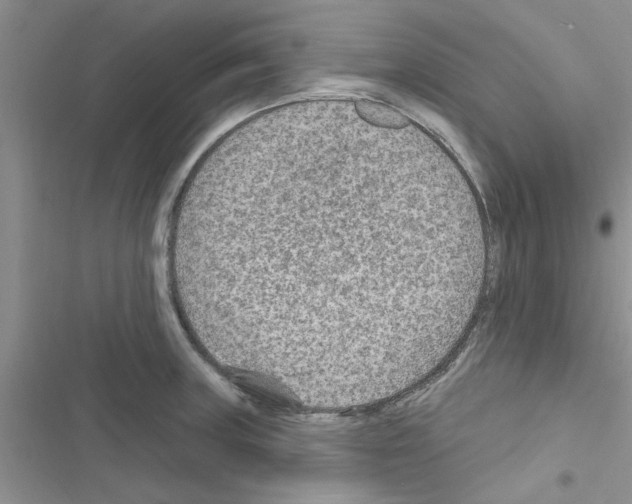 X0000116631235201001221354
