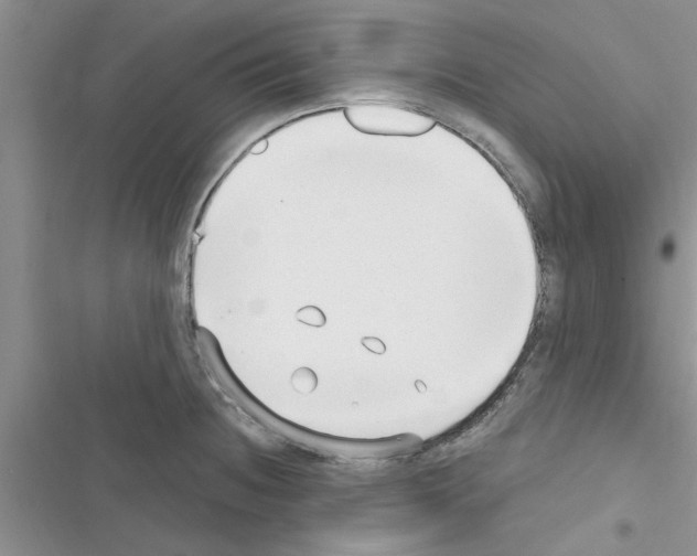 X0000116631236201001221354