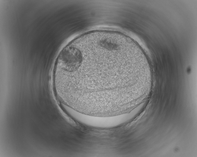 X0000116631237201001221354