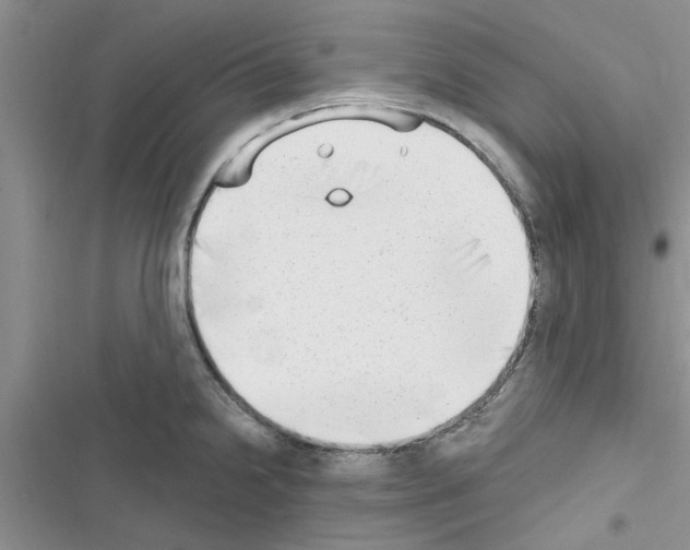 X0000116631238201001221354