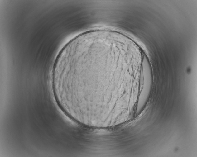 X0000116631239201001221354