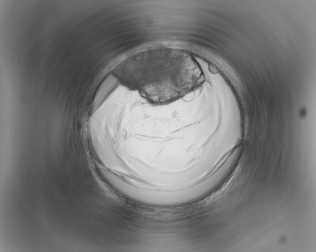 X0000116631241201001221354