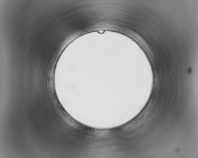 X0000116631242201001221354