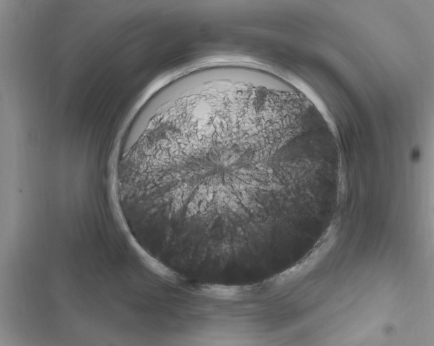 X0000116631245201001221354