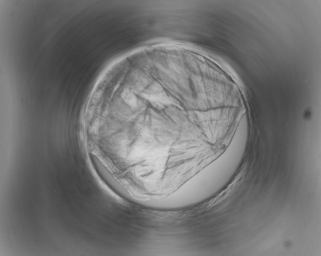 X0000116631247201001221354