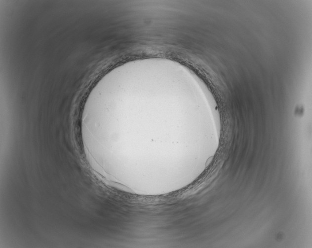 X0000116631249201001221353