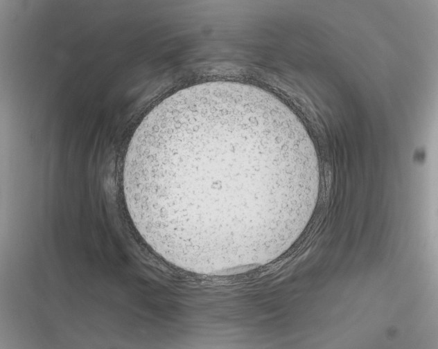 X0000116631250201001221353