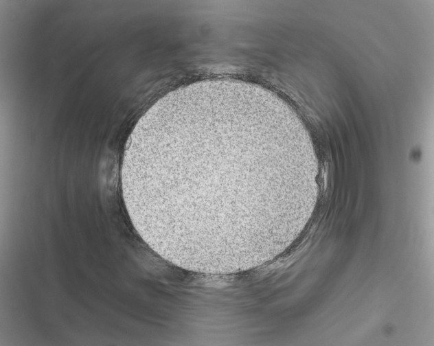 X0000116631251201001221353