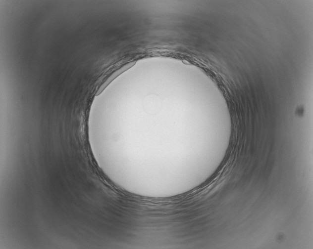 X0000116631252201001221353