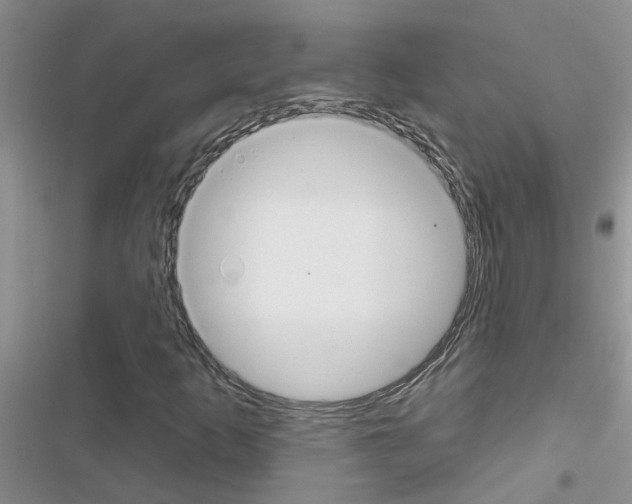 X0000116631253201001221353