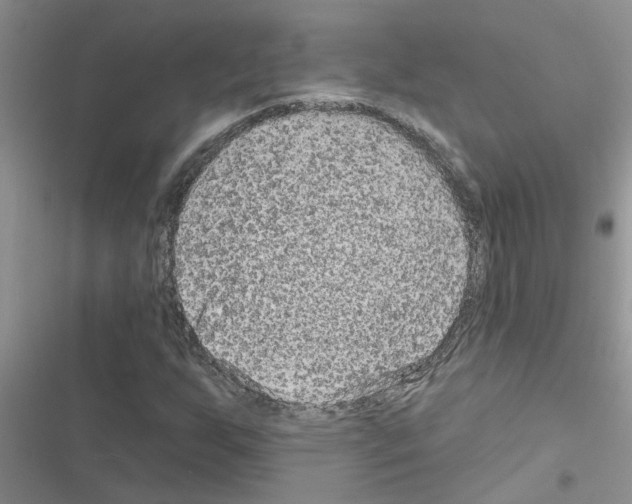 X0000116631255201001221353