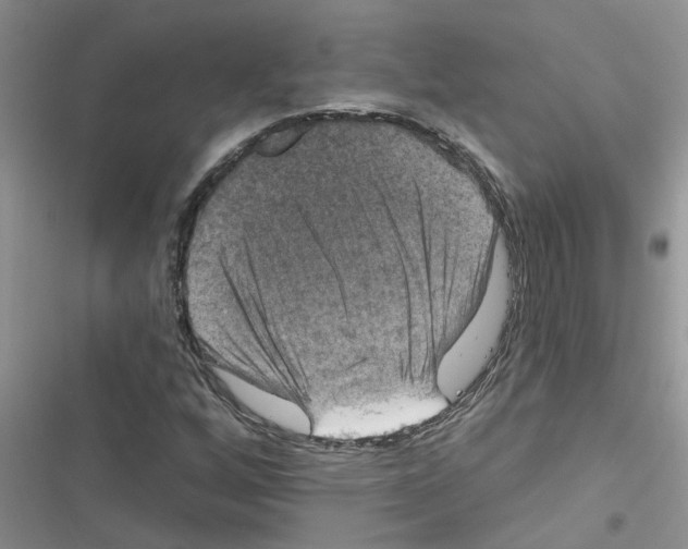 X0000116631256201001221353