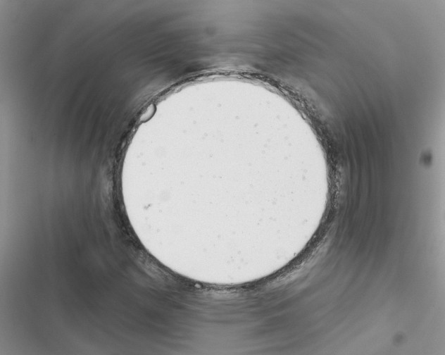 X0000116631257201001221353