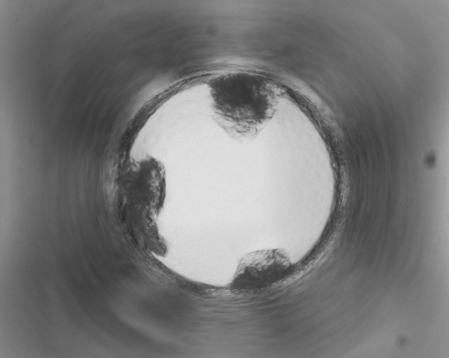X0000116631259201001221353