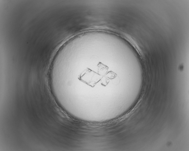 X0000116631260201001221353