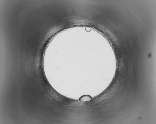 X0000116631261201001221353