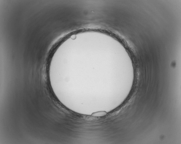 X0000116631262201001221353