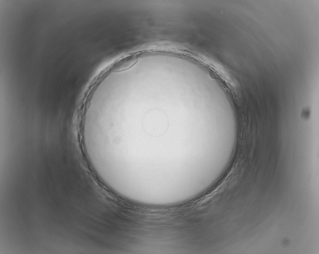 X0000116631264201001221353