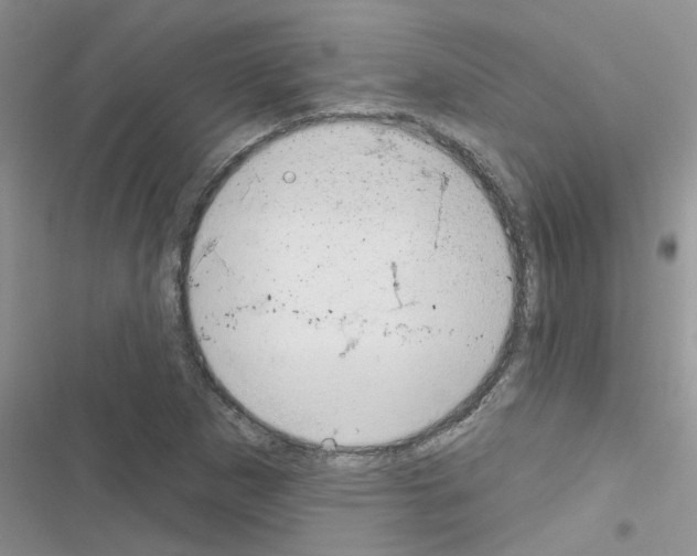X0000116631265201001221353
