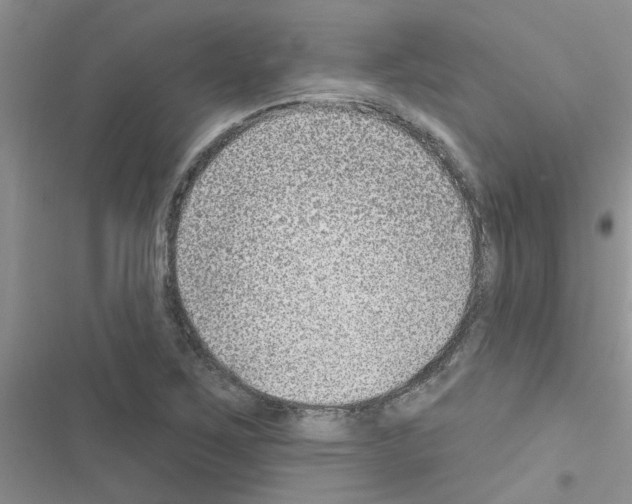 X0000116631267201001221353