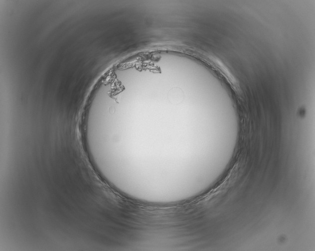 X0000116631268201001221353