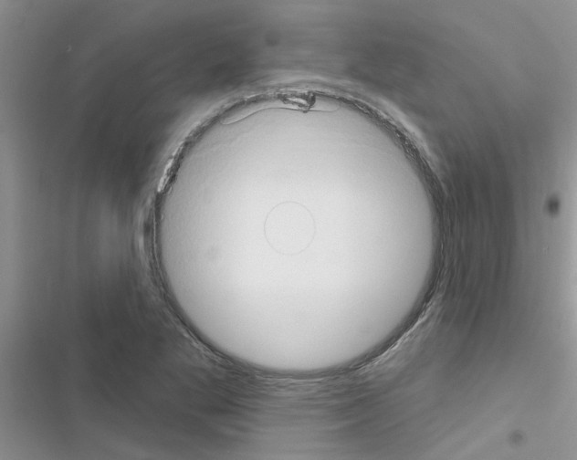 X0000116631269201001221353