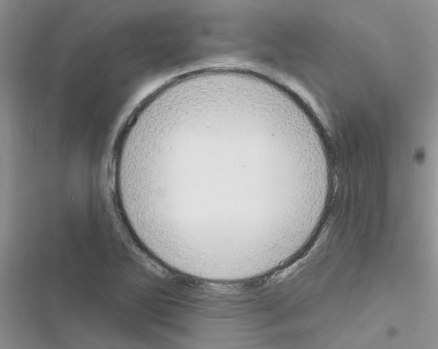 X0000116631270201001221353