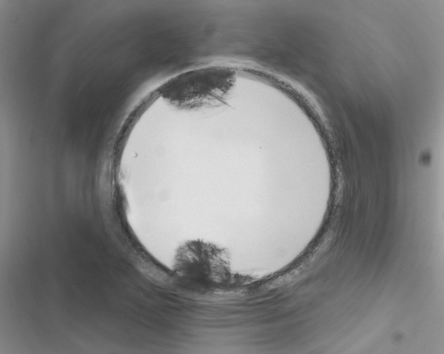 X0000116631271201001221353