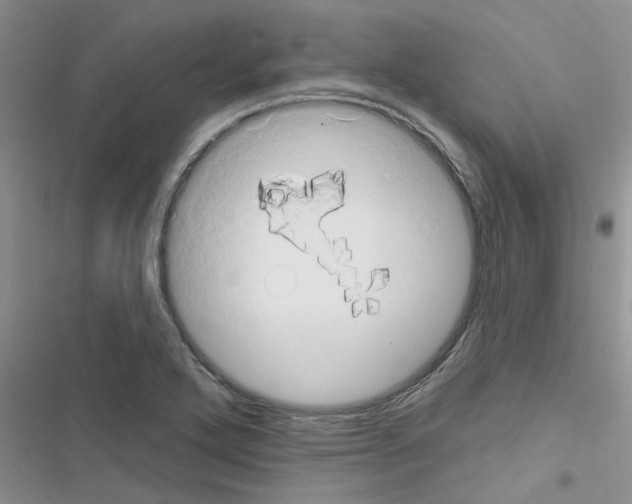 X0000116631272201001221353