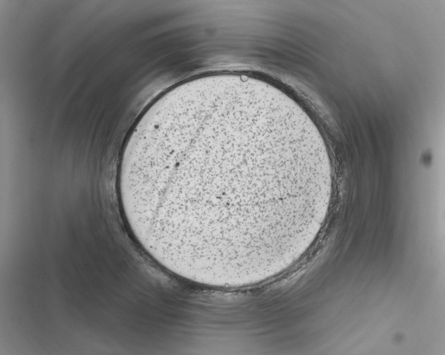 X0000116631273201001221353