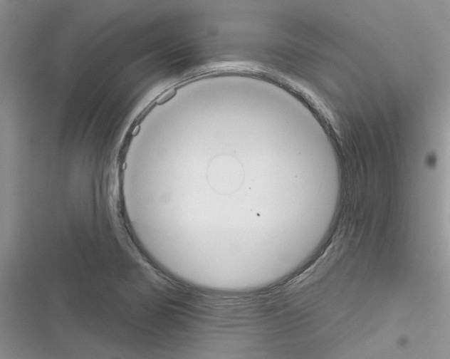 X0000116631274201001221353