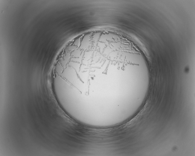X0000116631276201001221353
