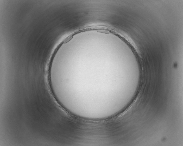 X0000116631277201001221353