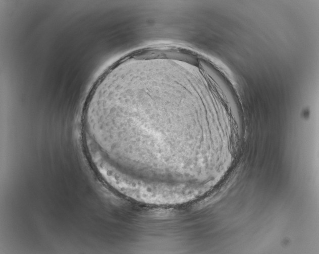 X0000116631279201001221353