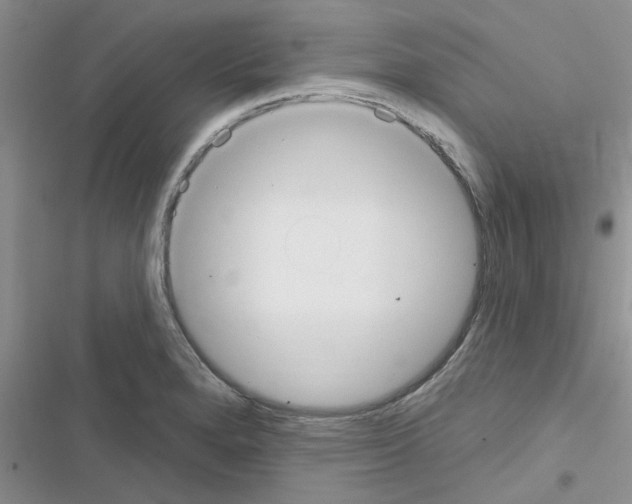 X0000116631280201001221353