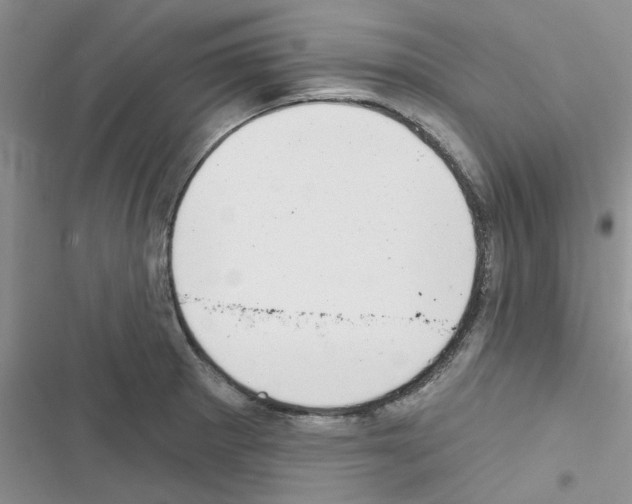 X0000116631281201001221353