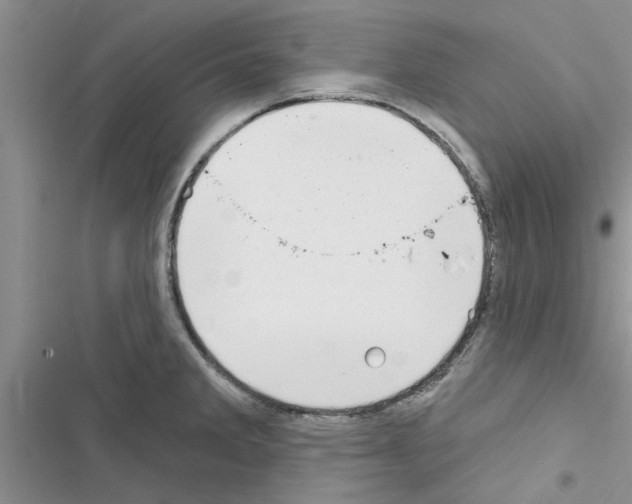 X0000116631285201001221353