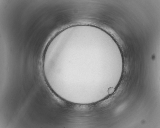 X0000116631286201001221353