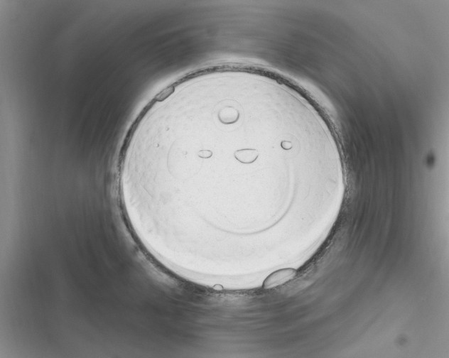 X0000116631287201001221353
