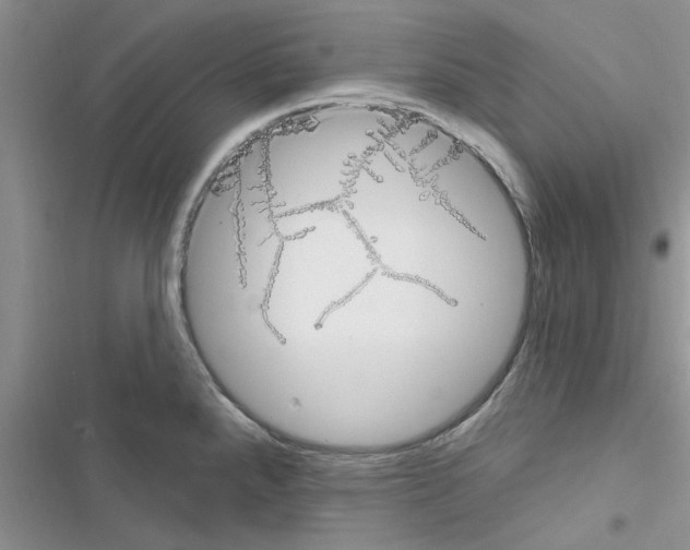 X0000116631288201001221353