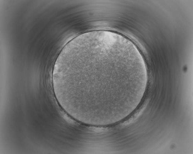 X0000116631289201001221353