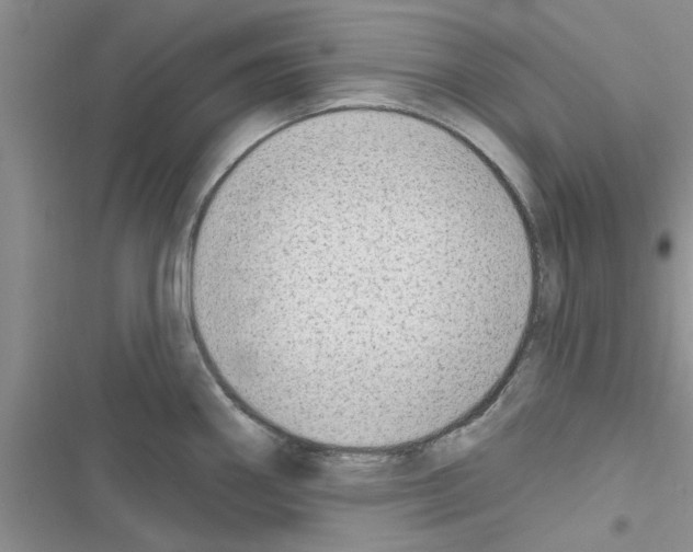 X0000116631290201001221353