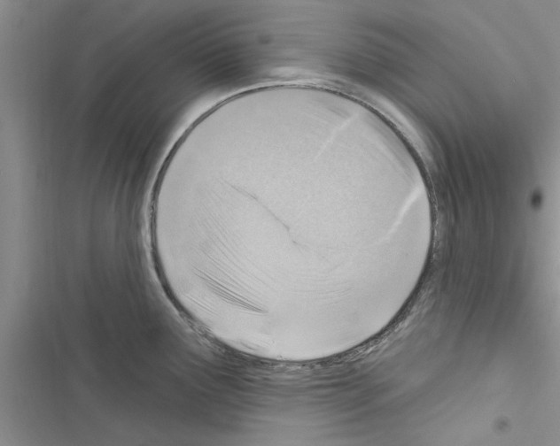 X0000116631291201001221353