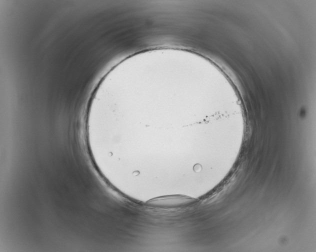 X0000116631293201001221353
