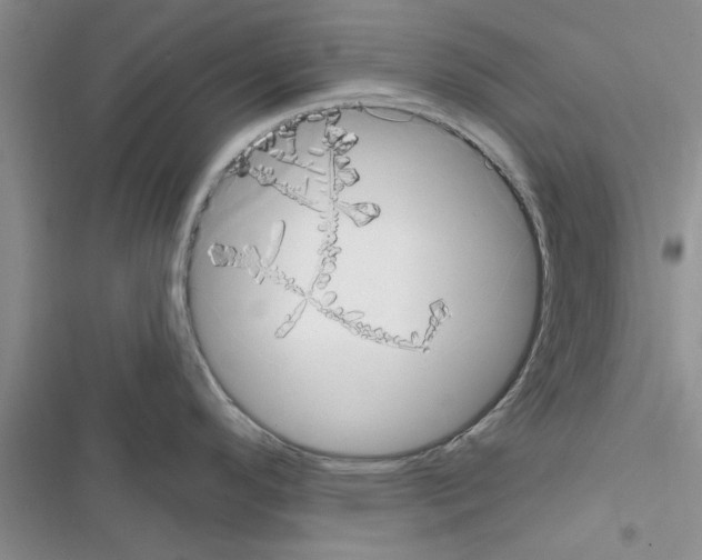 X0000116631296201001221353